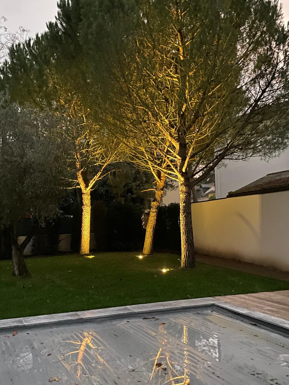 Mise en lumière arbres jardin villa La Baule