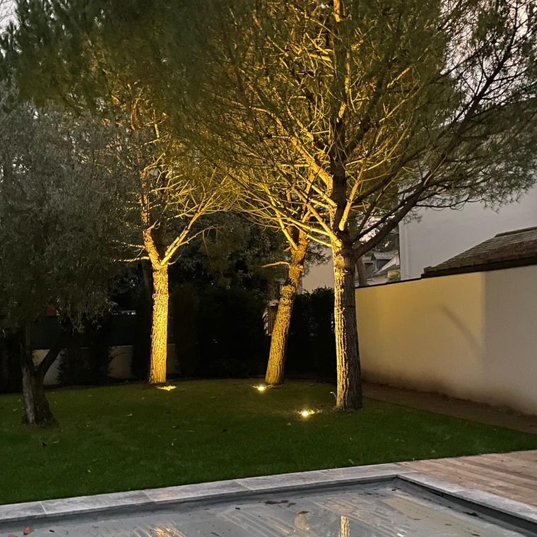 Mise en lumière d'un jardin la nuit par Innov Energy